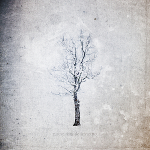 野外树林老汉XXXHD
